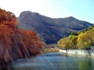 澳门天天免费精准大全，第十九层地狱小说